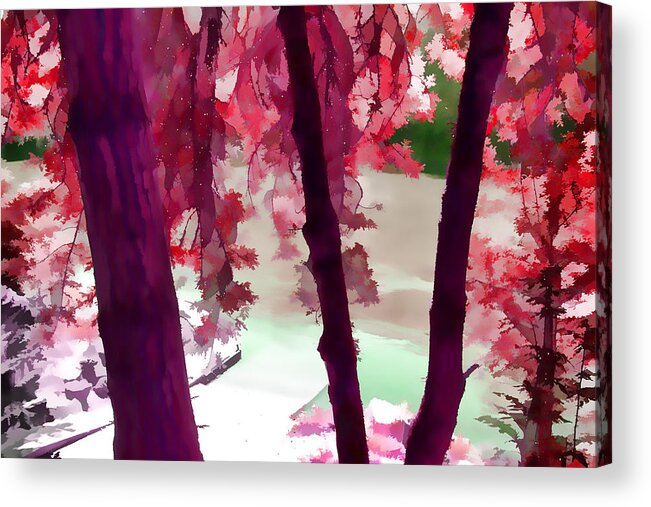 Forest Acrylic Print featuring the photograph Fantasy Forest by Bonnie Bruno
