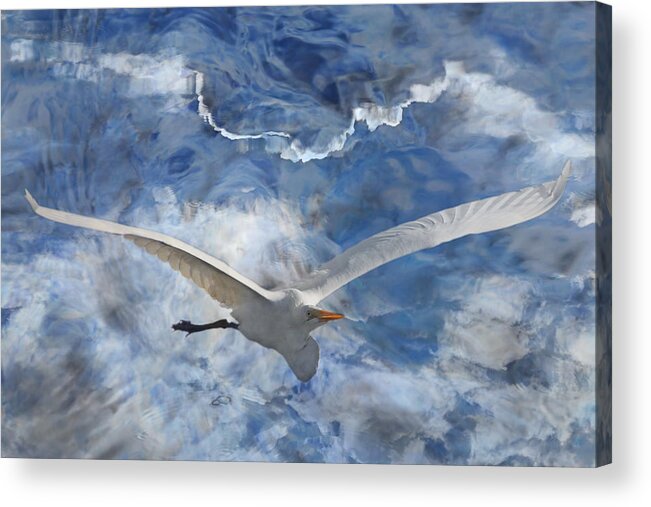 Reflections Acrylic Print featuring the photograph Fantasy in Flight by Leda Robertson