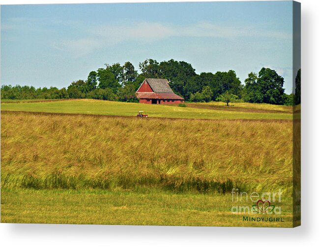 Farm Acrylic Print featuring the photograph Farm in Oregon by Mindy Bench