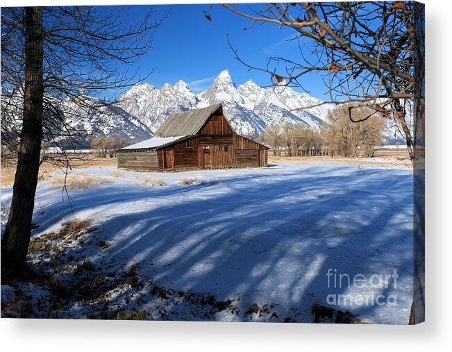 Grand Teton National Park Acrylic Print featuring the photograph Farmers View by Adam Jewell