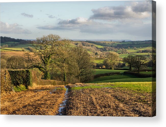 Farmland Acrylic Print featuring the photograph Farmland in Mid Devon by Pete Hemington