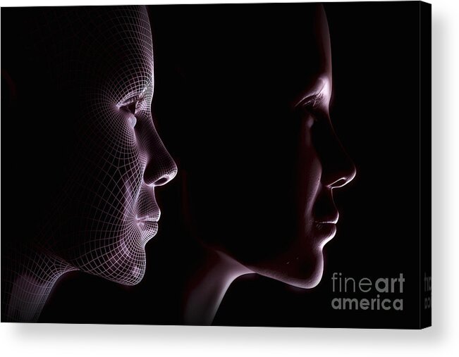 Futuristic Acrylic Print featuring the photograph Female Face With Wireframe by Science Picture Co