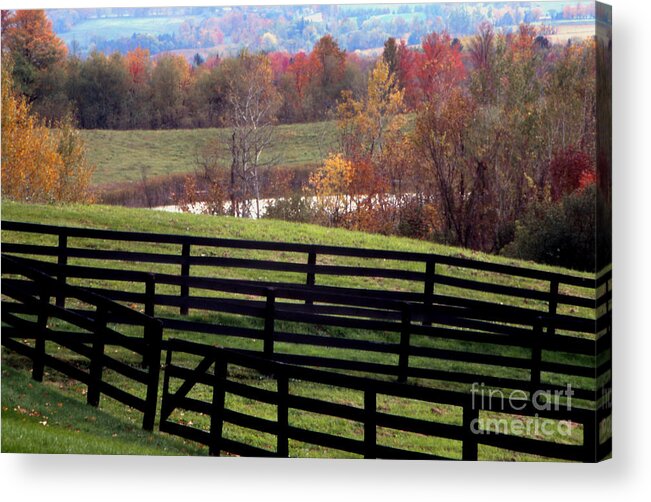 Landscape Acrylic Print featuring the photograph Fences in the Fall by Eva Kato