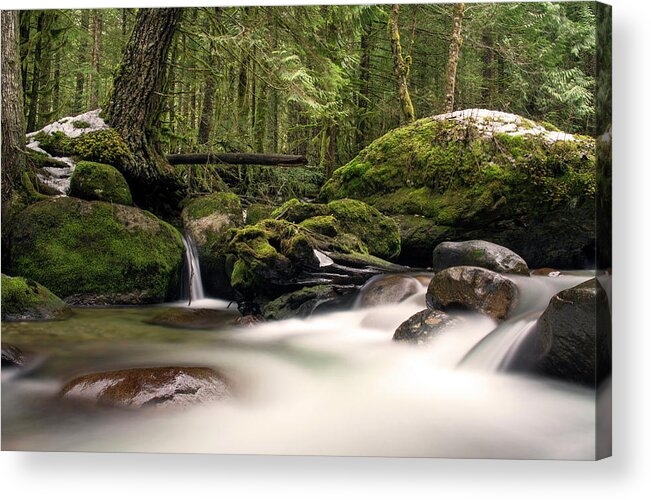 Fern Acrylic Print featuring the photograph Fern City by Jason Wilde