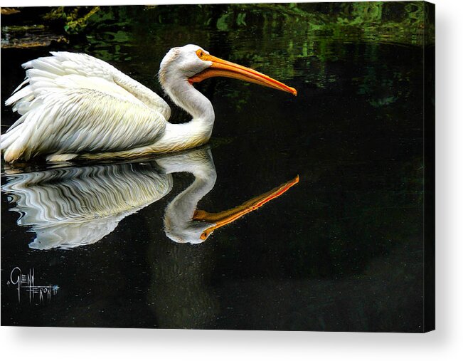 Heron Acrylic Print featuring the photograph Feron's Heron by Glenn Feron