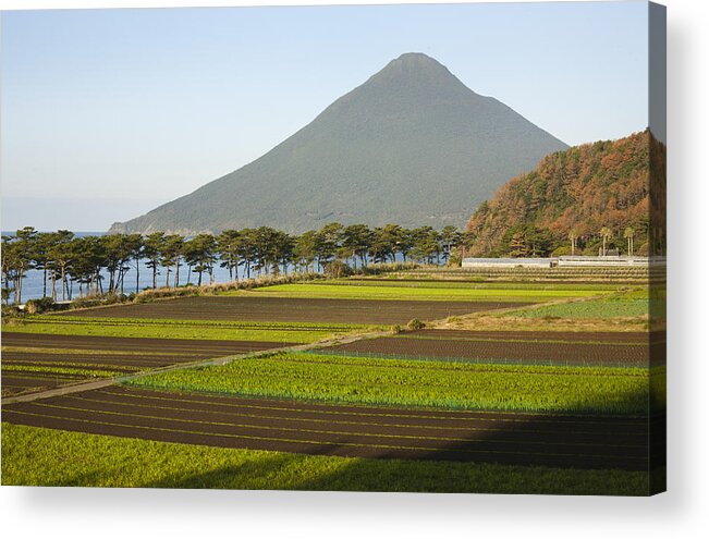 Kevin Schafer Acrylic Print featuring the photograph Fields Below Volcano Mount Kaimondake by Kevin Schafer