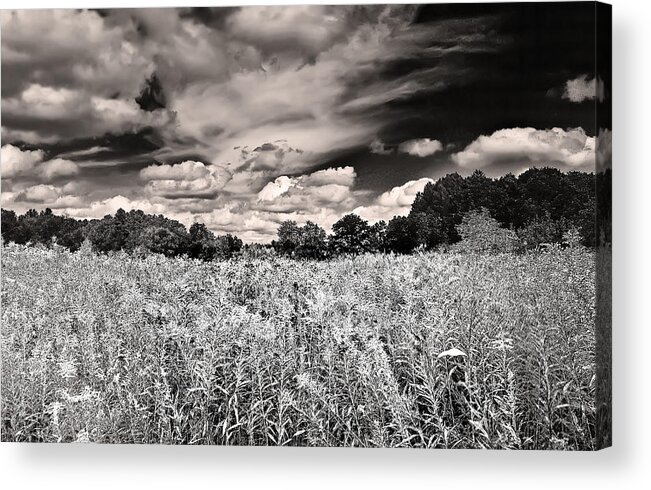 Black And White Acrylic Print featuring the photograph Fields of Gold and Clouds by Mitchell R Grosky