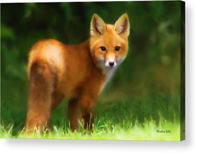 Fox Acrylic Print featuring the painting Fiery Fox by Christina Rollo