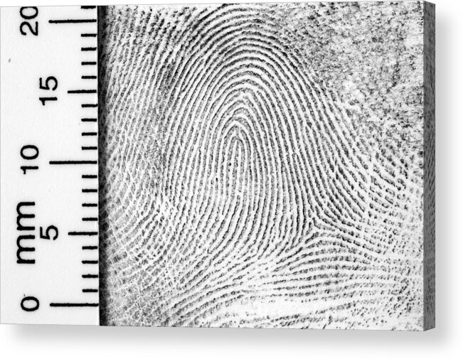 Dust Acrylic Print featuring the photograph Fingerprint with ruler for measurement by Living_images
