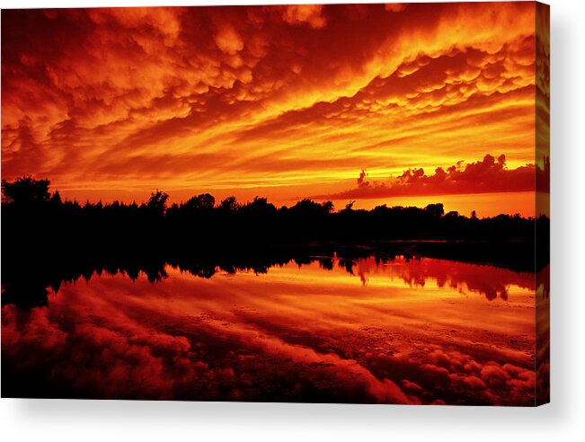 Sunset Acrylic Print featuring the photograph Fire in the Sky by Jason Politte