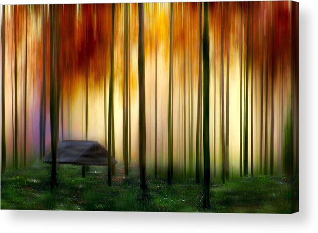 Fire Acrylic Print featuring the photograph Fire by Russell Brown
