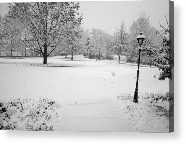 Snowcold Acrylic Print featuring the photograph First Snow by Jean Macaluso