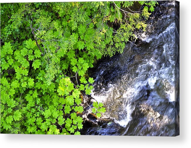 Fish Creek Acrylic Print featuring the photograph Fish Creek in Summer by Cathy Mahnke