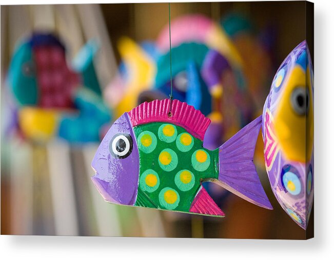 Fish Acrylic Print featuring the photograph Fish of Color by John Magyar Photography