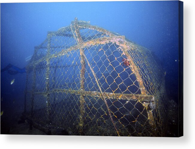 Cage Acrylic Print featuring the photograph Fish Trap On Sea Floor by Greg Ochocki