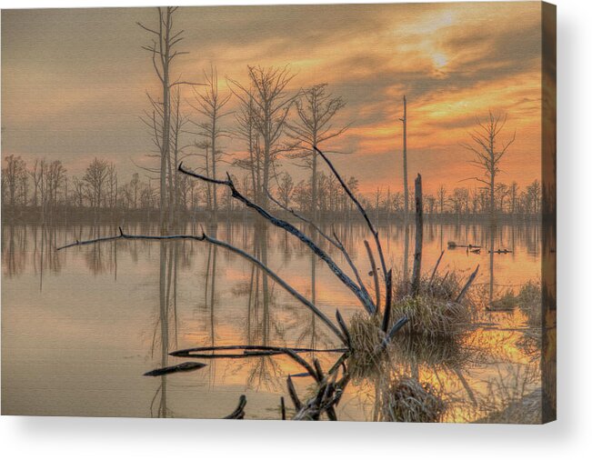 Outdoors Acrylic Print featuring the photograph Flabellum by Larrybraunphotography.com