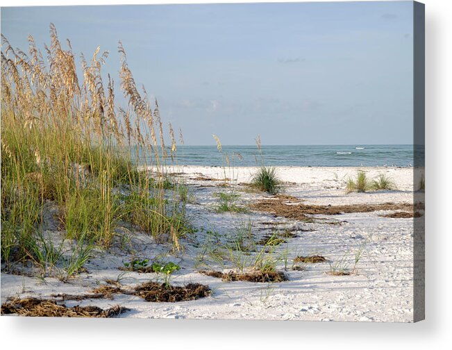 Beach Acrylic Print featuring the photograph Florida Beach 2 by Geraldine Alexander