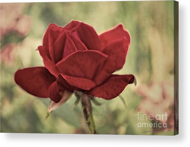 Floral Acrylic Print featuring the photograph Flower - Victorian Rose - Luther Fine Art by Luther Fine Art