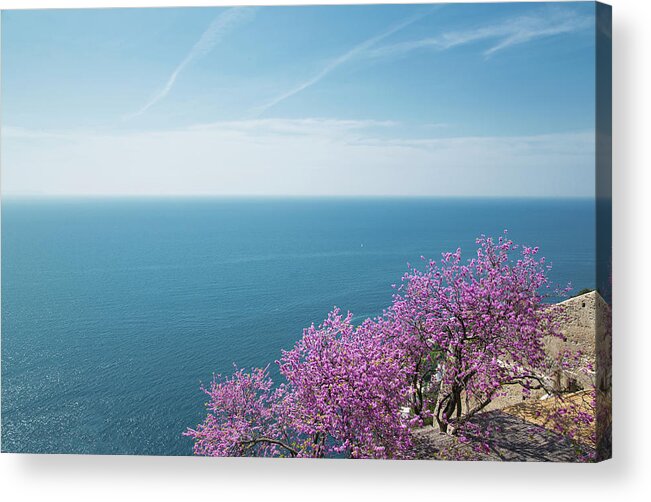 Scenics Acrylic Print featuring the photograph Flowering Trees On The Amalfi Coast by Buena Vista Images