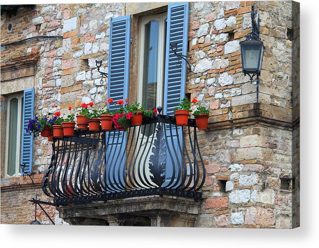 Flowers Acrylic Print featuring the photograph Flowers 3- Assisi by Theresa Ramos-DuVon