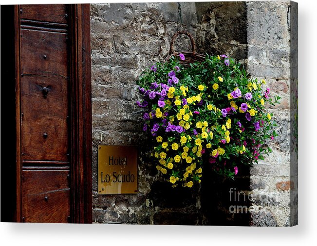 Assisi Acrylic Print featuring the photograph Flowers - Assisi by Theresa Ramos-DuVon