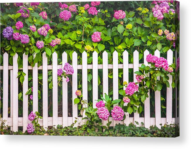 Flowers Acrylic Print featuring the photograph Flowers - Floral - White Picket Fence by Gary Heller