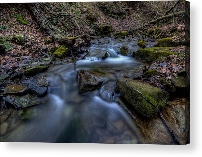 Brook Acrylic Print featuring the photograph Flowing Waters by David Dufresne