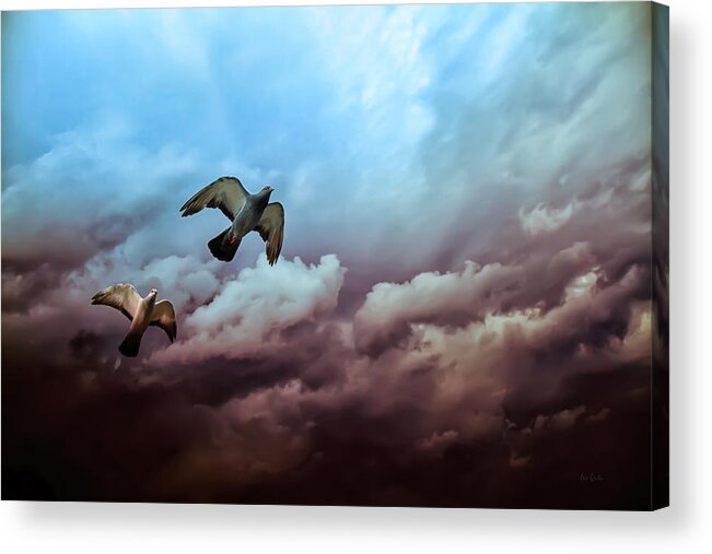 Bird Acrylic Print featuring the photograph Flying before the storm by Bob Orsillo