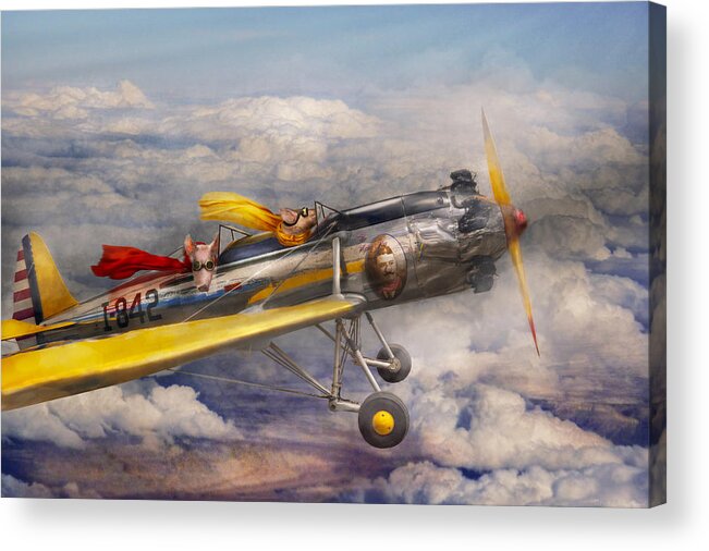Pig Acrylic Print featuring the photograph Flying Pig - Plane - The joy ride by Mike Savad