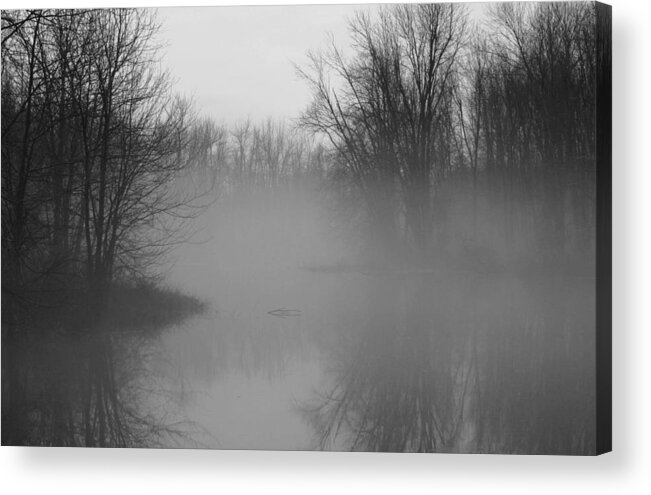 Fog Mist Photograph Print Metal Acrylic Canvas Water Trees Landscape Ontario Canada Acrylic Print featuring the photograph Fog at Mud Creek by Jim Vance