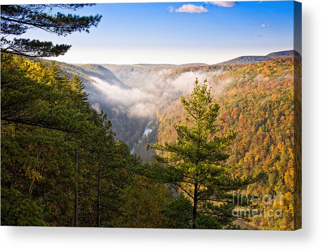 Nature Acrylic Print featuring the photograph Fog over the Canyon by Ronald Lutz