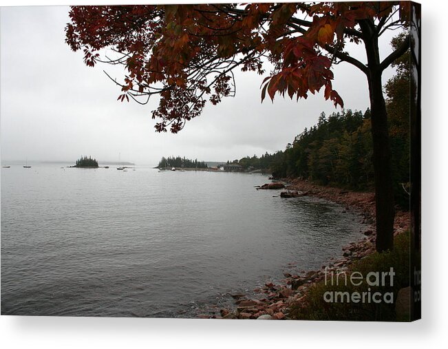 Fog Acrylic Print featuring the photograph Foggy Autumn Day by Christiane Schulze Art And Photography