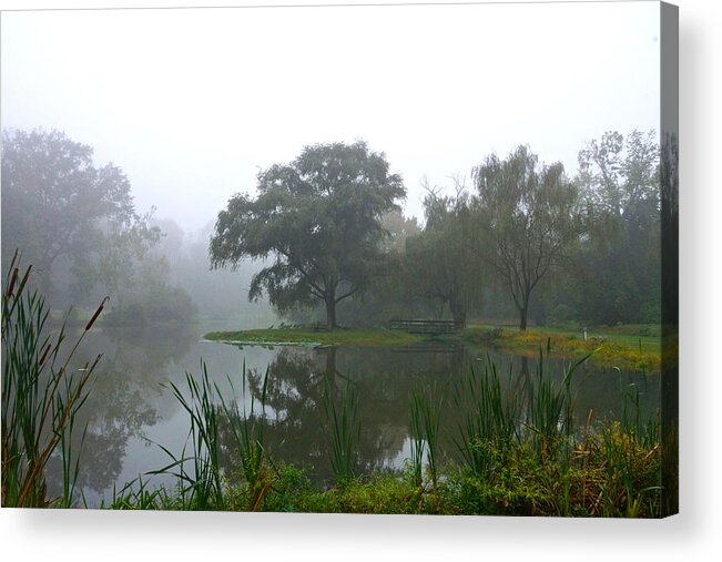 Landscape With Pond And Fog And Trees Acrylic Print featuring the photograph Foggy Morning At The Willows by Byron Varvarigos