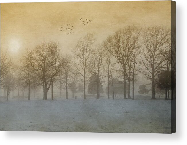 Fog Acrylic Print featuring the photograph Foggy Sunset by Cathy Kovarik