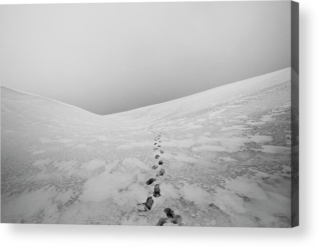 Tranquility Acrylic Print featuring the photograph Footsteps In Snow by Erika Tirén/magic Air