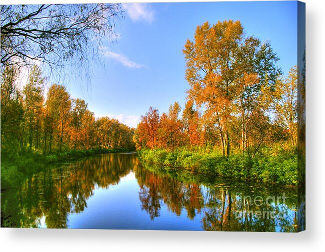 Forest Acrylic Print featuring the photograph Forest Golden Green by Boon Mee