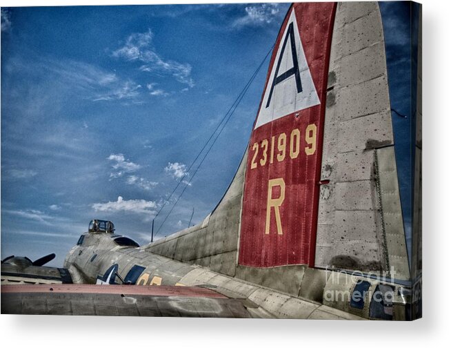 Airplane Acrylic Print featuring the photograph Formula 909 by Ken Williams