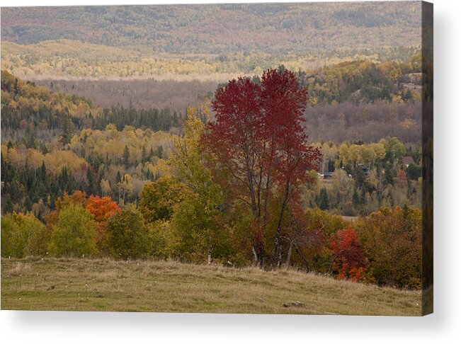 Autumn Fall Landscape Color Trees Print Metal Acrylic Canvas Canvasprint Acrylicprint Metalprint Art Acrylic Print featuring the photograph Fort Stewart Autumn Landscape by Jim Vance