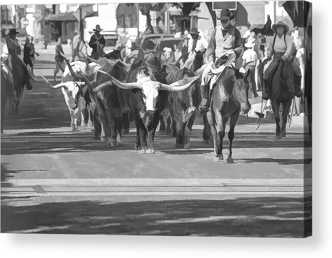 Fort Worth Acrylic Print featuring the photograph Fort Worth Herd Cattle Drive by Jonathan Davison