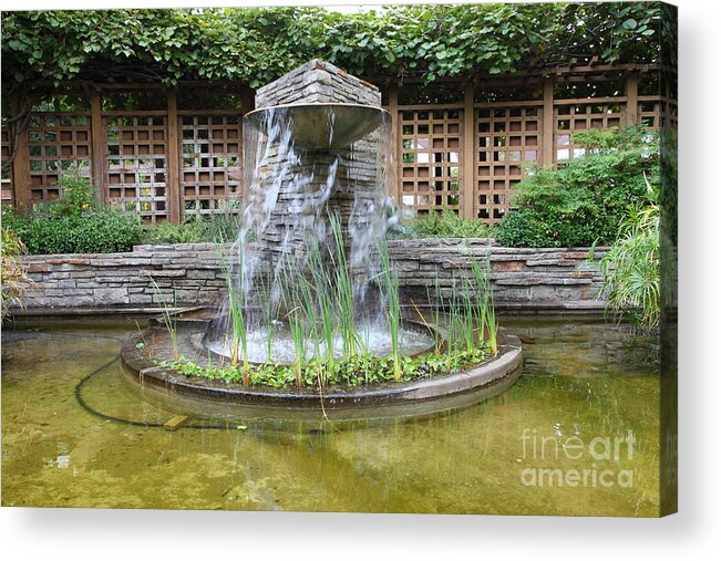 Santa Rosa Acrylic Print featuring the photograph Fountain At The Historic Luther Burbank Home and Gardens Santa Rosa California 5D25913 by Wingsdomain Art and Photography