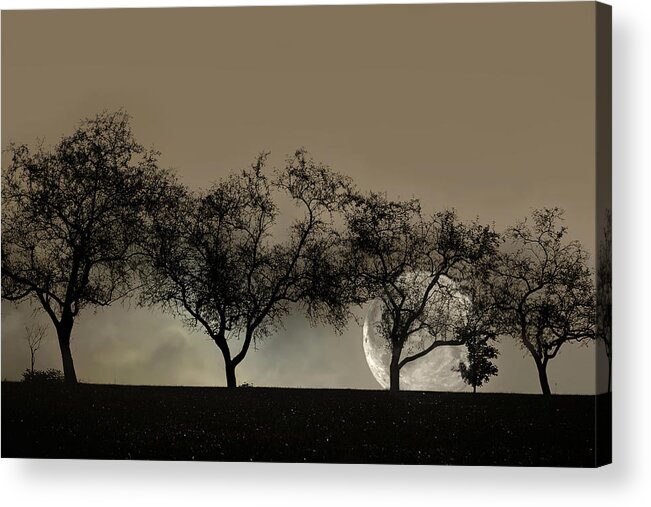 Trees Acrylic Print featuring the photograph Four Trees and a Moon by Ann Bridges