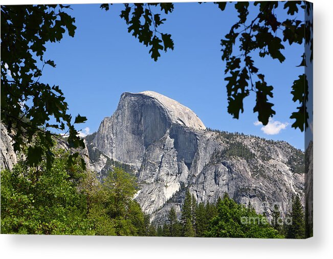 Half Dome Acrylic Print featuring the photograph Framed Half Dome by Bill Singleton
