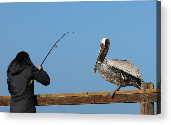 Wild Acrylic Print featuring the photograph Free Dinner by Christy Pooschke