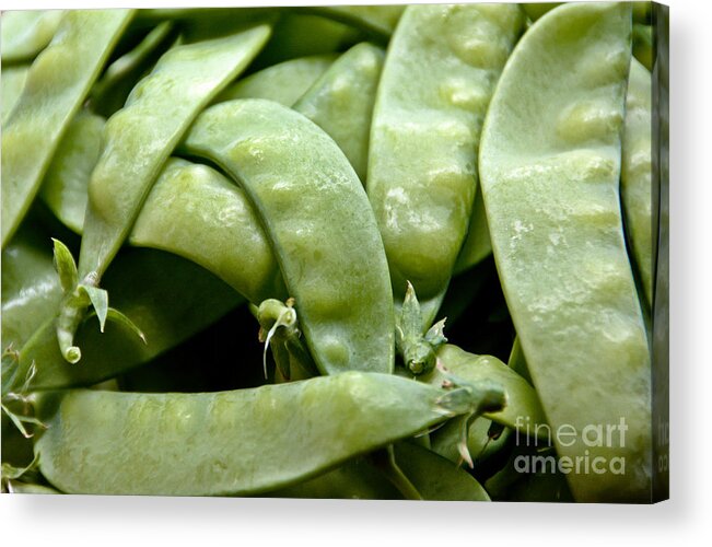 Peas Acrylic Print featuring the photograph Fresh Picked Peas by Cheryl Baxter