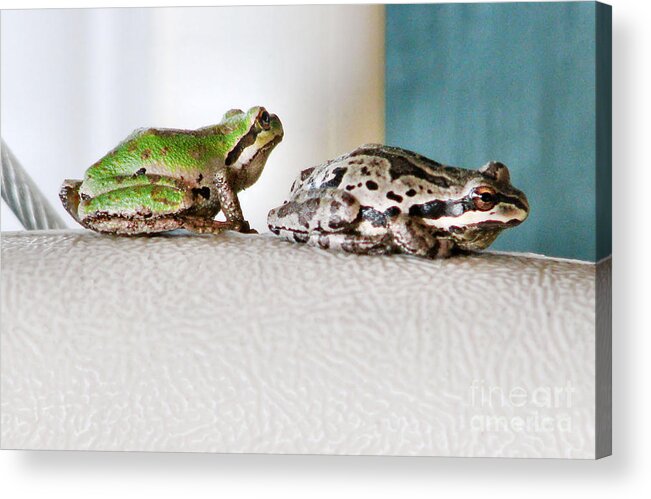 Frog Acrylic Print featuring the photograph Frog Flatulence - A Case Study by Rory Siegel