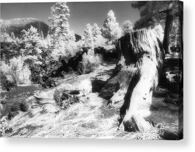 Infrared Acrylic Print featuring the photograph From the Crater Slope - Infrared by Paul W Faust - Impressions of Light