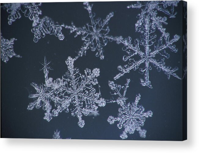 Owen Acrylic Print featuring the photograph Frost Crystal On Glass Kodiak Isl by Marion Owen