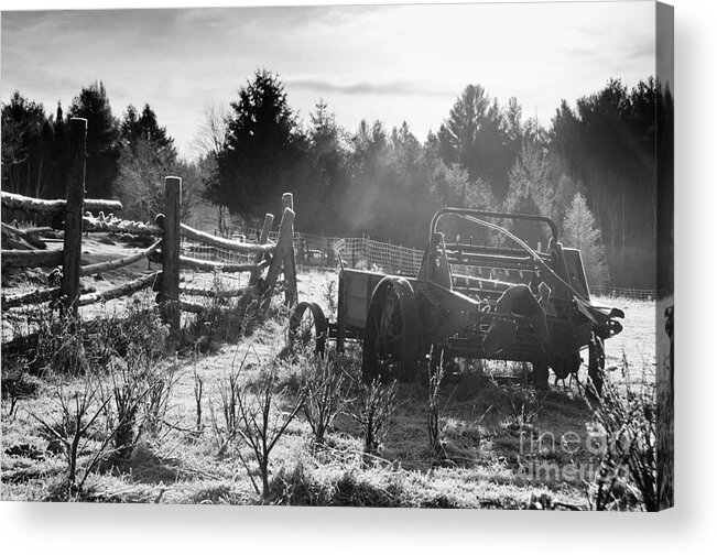 Frost Acrylic Print featuring the photograph Frosty Barnyard by Cheryl Baxter