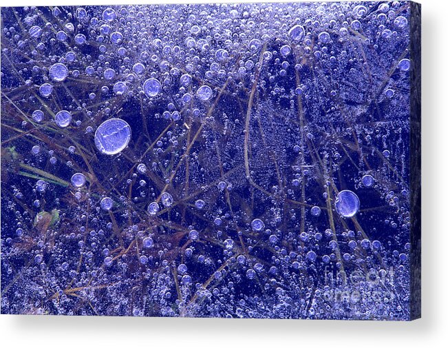 North America Acrylic Print featuring the photograph Frozen Bubbles in the Merced River Yosemite Natioinal Park by Dave Welling