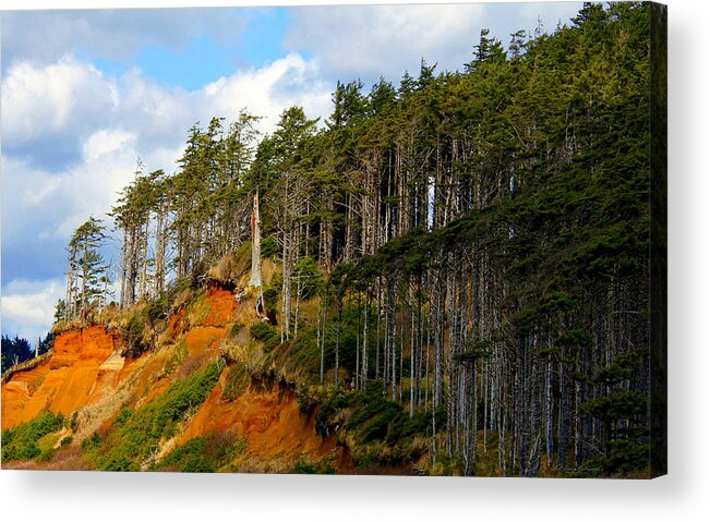 Landscape Acrylic Print featuring the photograph Frozen In Time by Jeanette C Landstrom